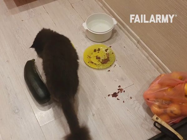 Best Fails of the Month - Best Fails of the Month | Ep. 3.11