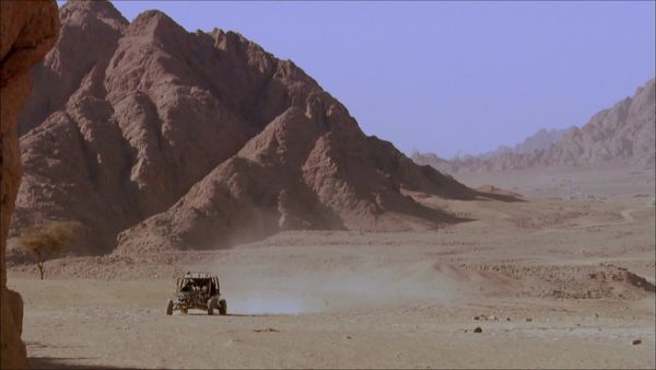 Word Travels - Egypt: Belly Dancing through Chaos