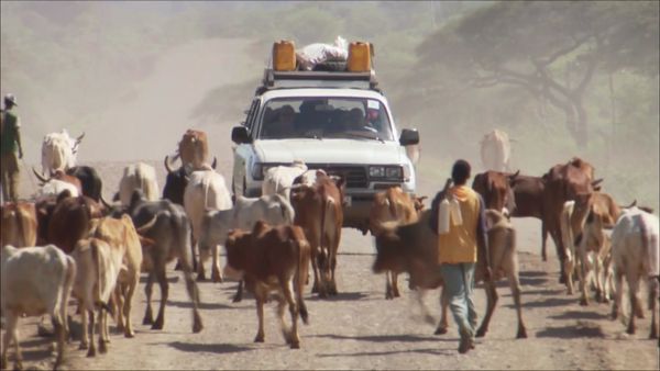 Word Travels - Ethiopia South