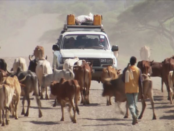 Word Travels - Ethiopia South