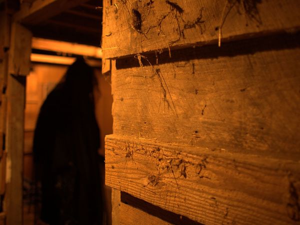Historias de Ultratumba - La Venganza del Demonio
