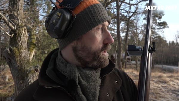 Jakt är Jakt - Harjakt & Sista Drevjakten För Året