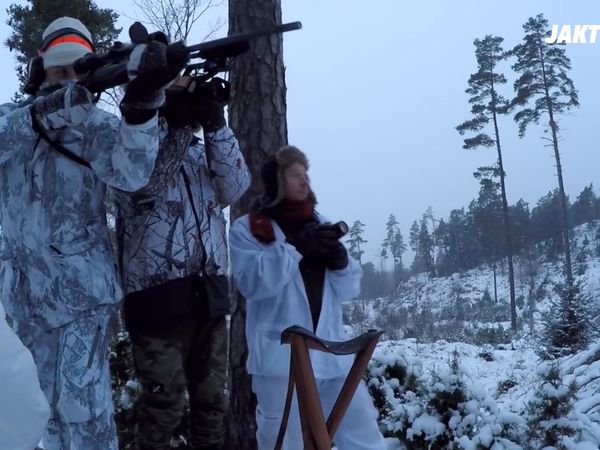 Jakt är Jakt - Drevjakt I Vinterskog & Jompens Första Hjort
