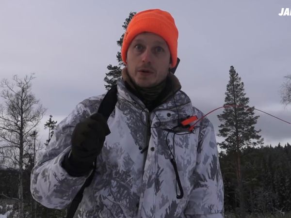 Jakt är Jakt - Sista Älgjakten För Året
