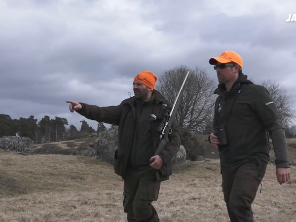 Jakt är Jakt - Jakt I Almunge