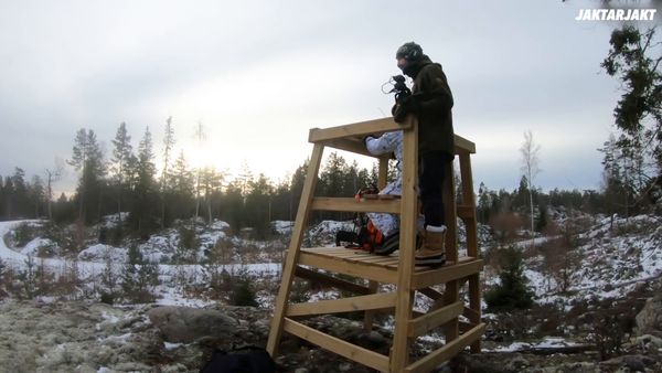 Jakt är Jakt - Drevjakt I Södermanland