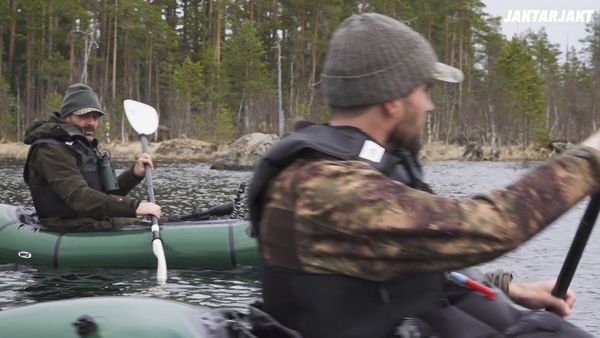 Jakt är Jakt - Jakt På Bäver - Bäventyret
