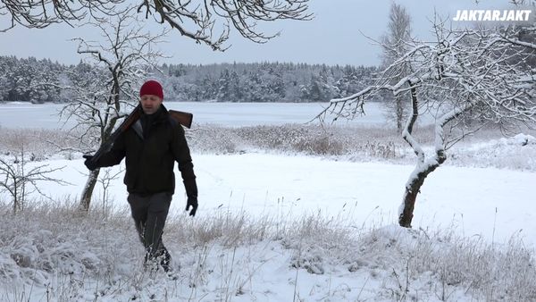 Jakt är Jakt - Rådjurswrap, Pierre Jagar Vidare I Tyskland & Jakt Med Wehunt