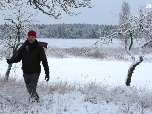 Jakt är Jakt - Rådjurswrap, Pierre Jagar Vidare I Tyskland & Jakt Med Wehunt