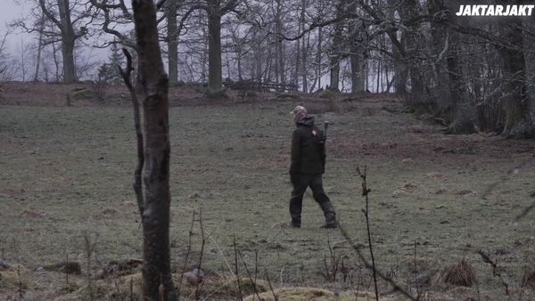 Jakt är Jakt - Pyrschjakt