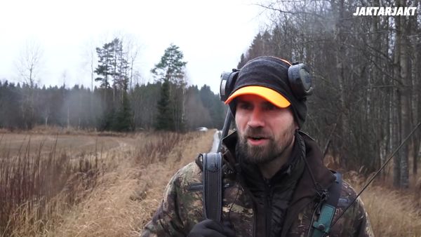 Jakt är Jakt - Drevjakt Med Filip / Drevjakt I Polen (Watershed)
