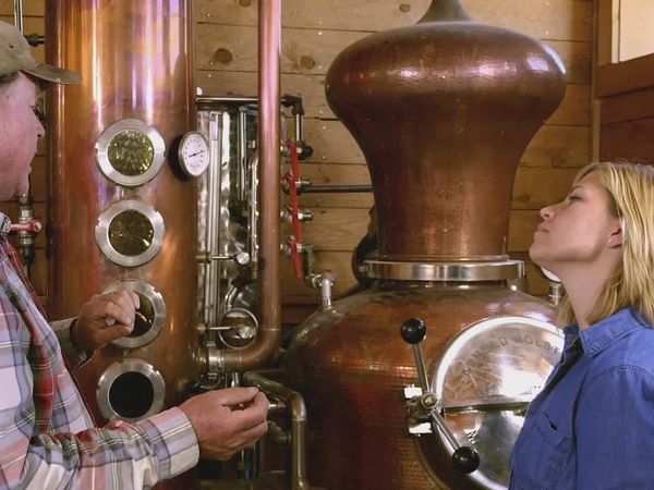 Tastemakers - On the Vine