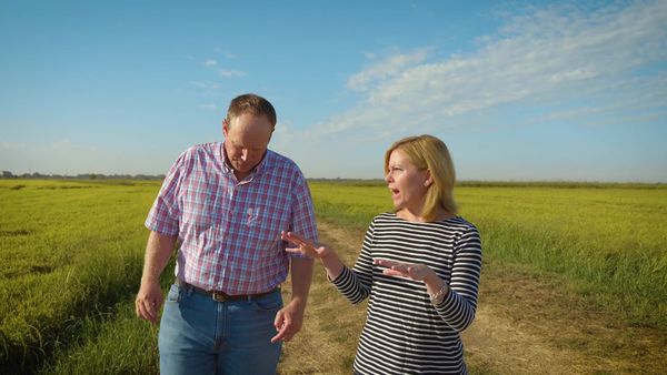 Tastemakers - On the Vine