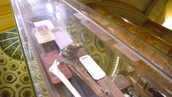 America's Lost Treasure - Savannah