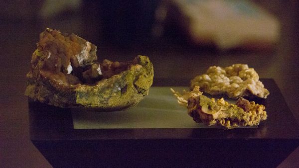 America's Lost Treasure - Los Angeles