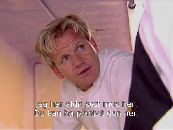 Gordon Ramsay rydder opp - Episode 501