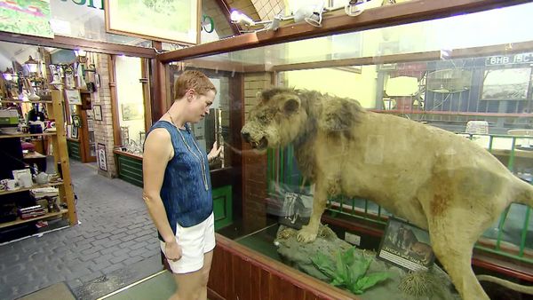 Antiques Road Trip - James Braxton and Helen Hall, Day 2