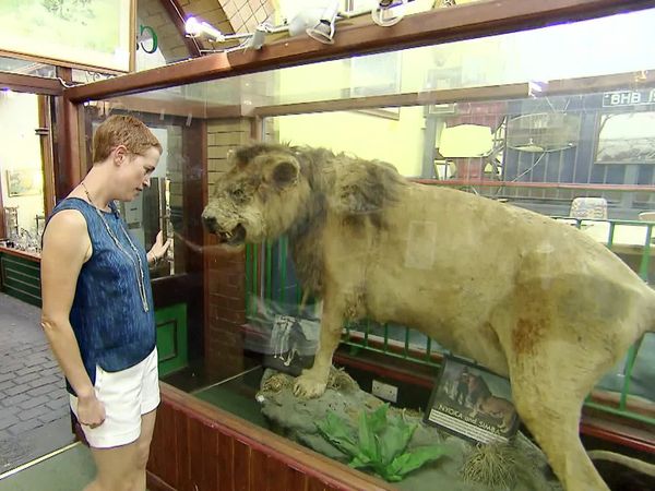 Antiques Road Trip - James Braxton and Helen Hall, Day 2