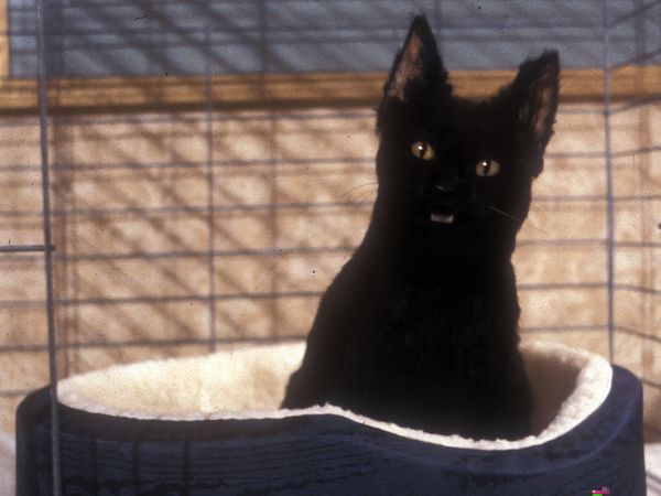 Sabrina - Total verhext! - Besuch aus dem Jenseits