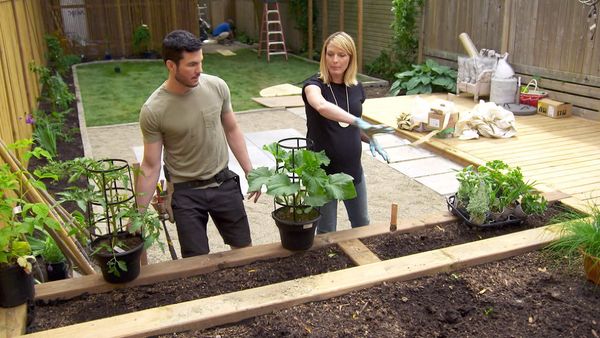 Backyard Builds - Breanna & Nick- Wellness Wonderland