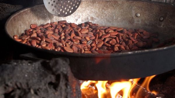 Tesoros Vivientes de Yucatán - Mujeres y tradiciones Mayas