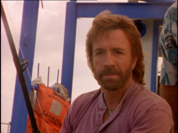 Walker Texas Ranger - Beskytterne