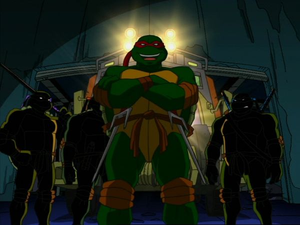Teenage Mutant Ninja Turtles - Fallen Angel