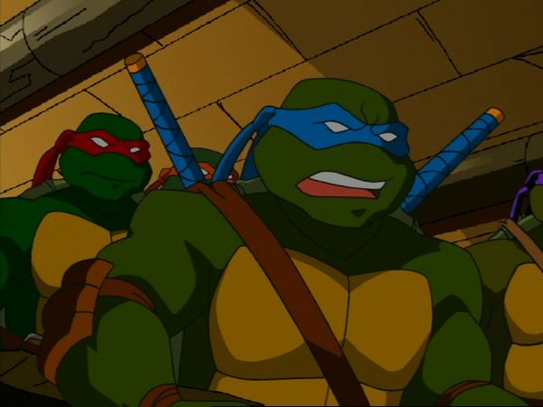 Teenage Mutant Ninja Turtles - Things Change