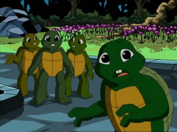 Teenage Mutant Ninja Turtles - Fathers and Sons