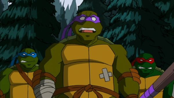 Teenage Mutant Ninja Turtles - The People's Choice