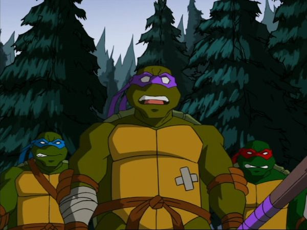 Teenage Mutant Ninja Turtles - The People's Choice