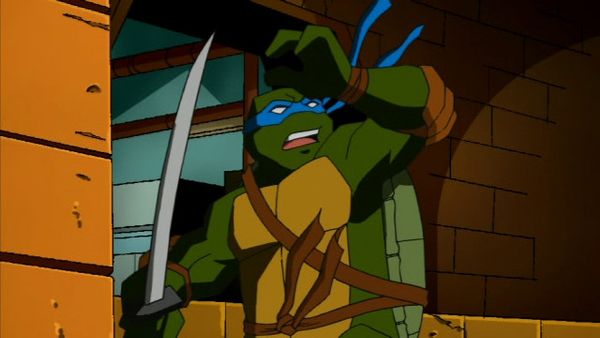 Teenage Mutant Ninja Turtles - Across The Universe