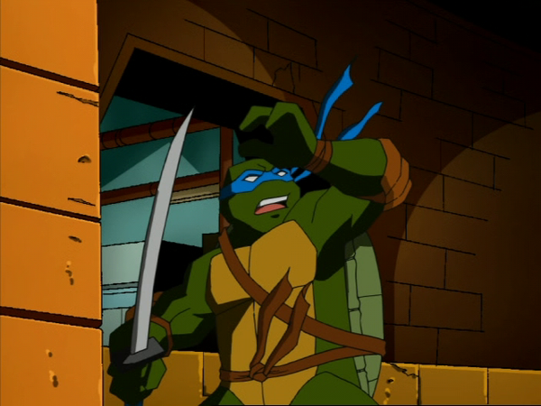 Teenage Mutant Ninja Turtles - Across The Universe