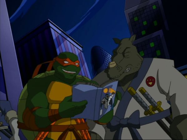 Teenage Mutant Ninja Turtles - Samurai Tourist