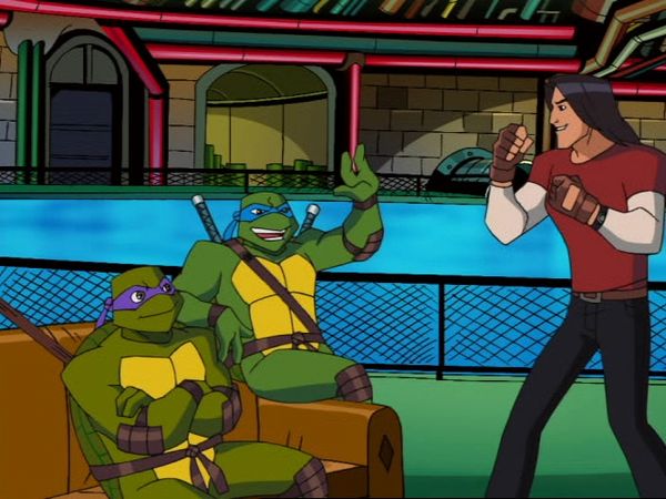 Teenage Mutant Ninja Turtles - Karate Schooled