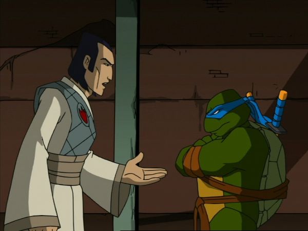 Teenage Mutant Ninja Turtles - Turtles Reflections