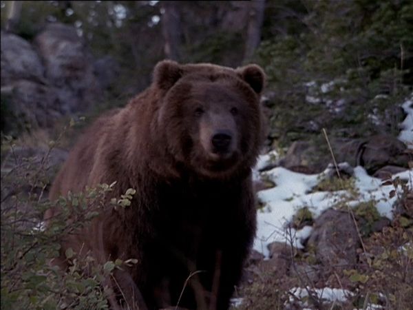 Walker Texas Ranger - Svanesång