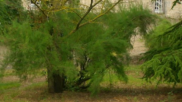 Cœur océan - Episode 22