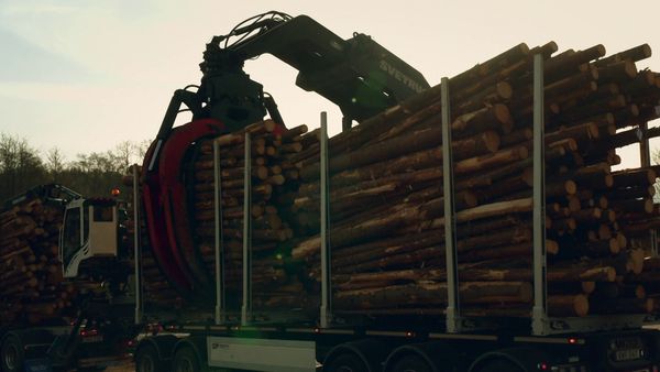 Svenska Truckers - Avsnitt 607