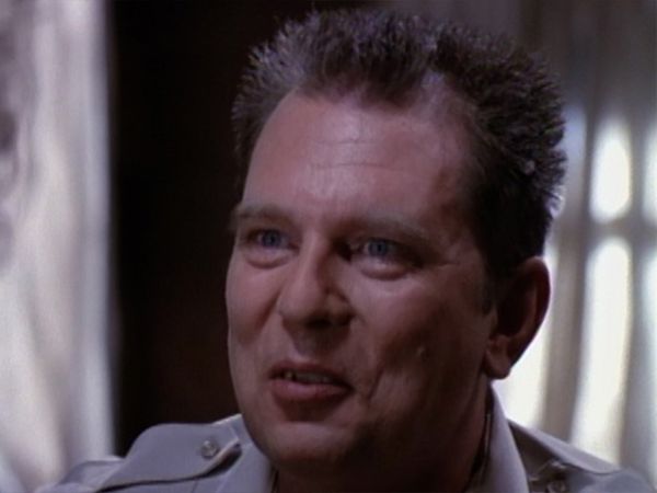 Walker Texas Ranger - I grenseland