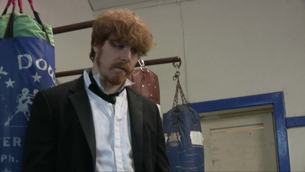Hardy Bucks - The Stag