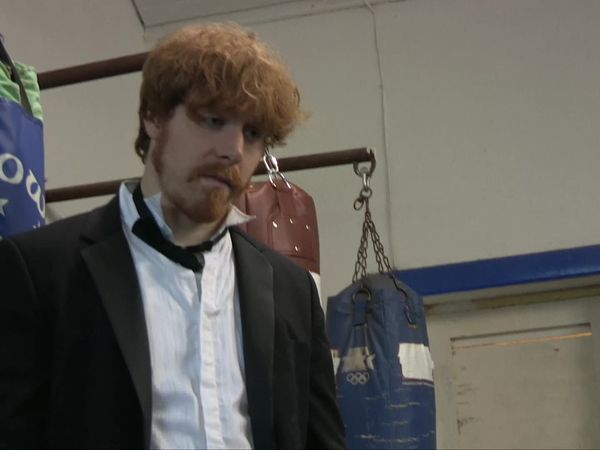 Hardy Bucks - The Stag