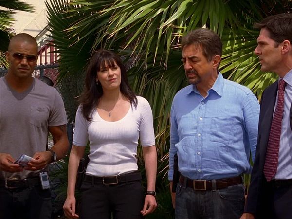 Criminal Minds - In Heat