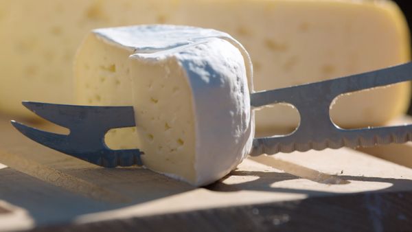 Cheese: A Love Story CA - Switzerland
