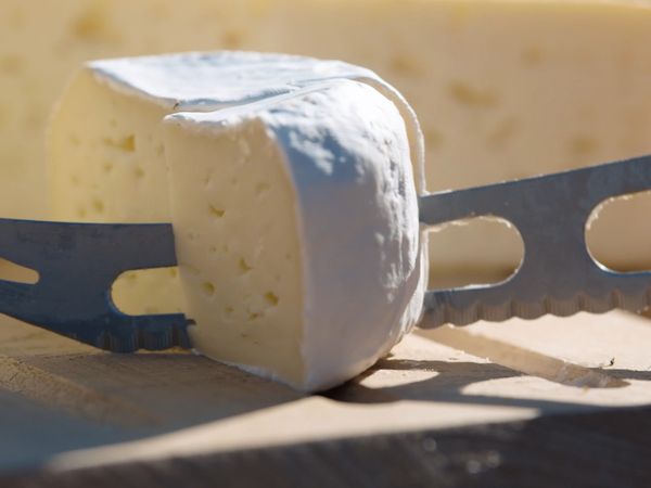 Cheese: A Love Story CA - Switzerland
