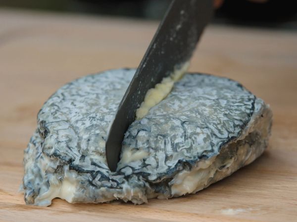 Cheese: A Love Story CA - France