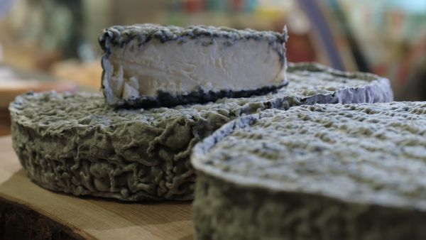 Cheese: A Love Story CA - Quebec