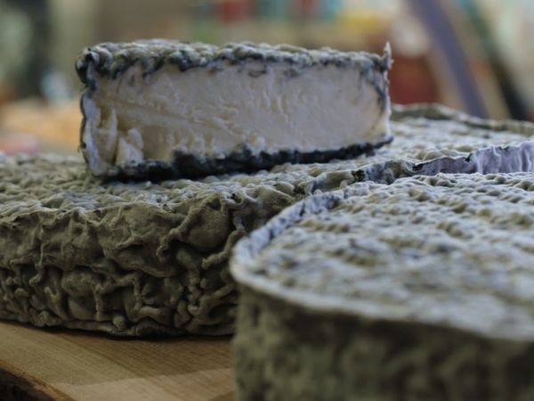 Cheese: A Love Story CA - Quebec