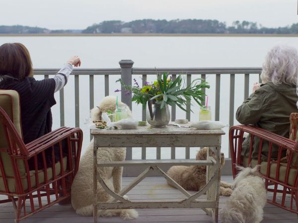 Positively Paula - Southern Picnic