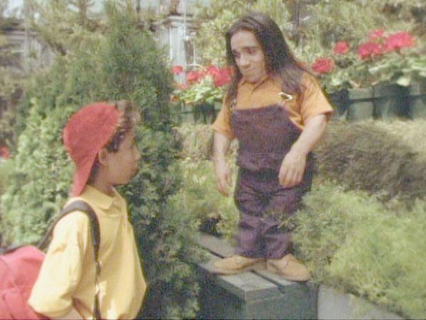 ¿Le Temes a la Oscuridad? - La historia de Jake y los gnomos